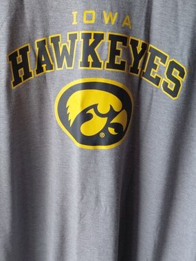 Iowa Hawkeyes Men's Gray Short-Sleeve Graphic Tee